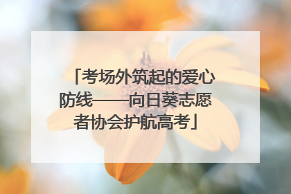 考场外筑起的爱心防线——向日葵志愿者协会护航高考
