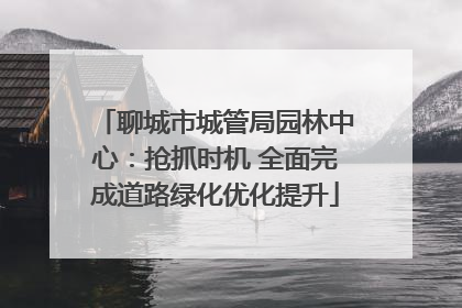 聊城市城管局园林中心：抢抓时机 全面完成道路绿化优化提升