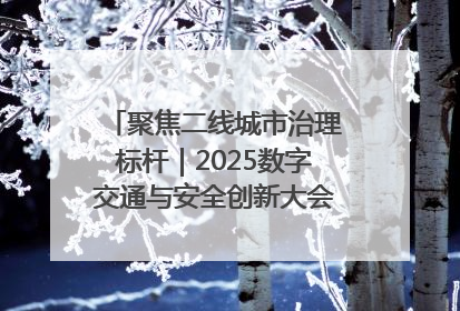 聚焦二线城市治理标杆｜2025数字交通与安全创新大会在保定隆重开幕