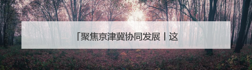 聚焦京津冀协同发展丨这家农批市场何以破圈发展