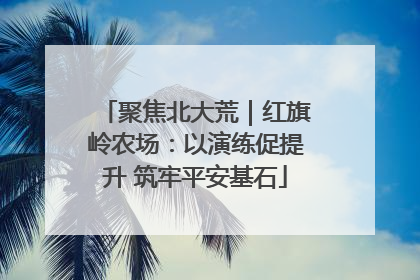 聚焦北大荒｜红旗岭农场：以演练促提升 筑牢平安基石
