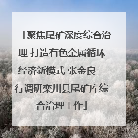 聚焦尾矿深度综合治理 打造有色金属循环经济新模式 张金良一行调研栾川县尾矿库综合治理工作