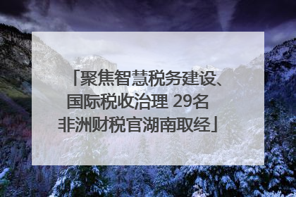 聚焦智慧税务建设、国际税收治理 29名非洲财税官湖南取经