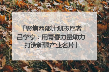 聚焦西部计划志愿者丨吕学亨：用青春力量助力打造新疆产业名片