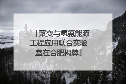 聚变与氢氨能源工程应用联合实验室在合肥揭牌