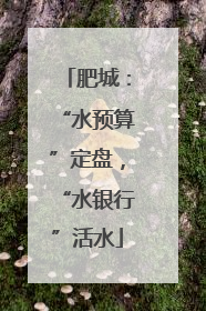 肥城：“水预算”定盘，“水银行”活水