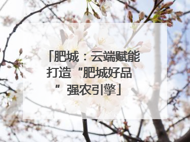 肥城：云端赋能 打造“肥城好品”强农引擎