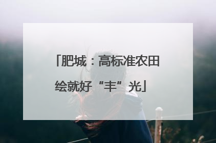 肥城：高标准农田绘就好“丰”光