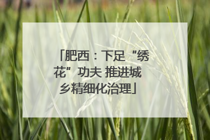 肥西：下足“绣花”功夫 推进城乡精细化治理