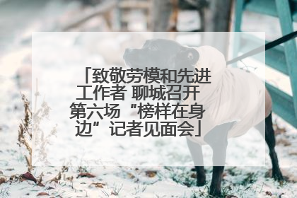 致敬劳模和先进工作者 聊城召开第六场“榜样在身边”记者见面会
