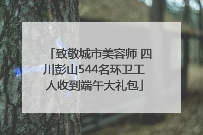 致敬城市美容师 四川彭山544名环卫工人收到端午大礼包