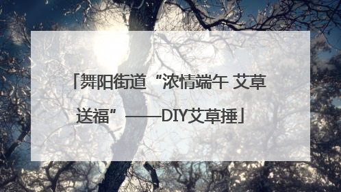 舞阳街道“浓情端午 艾草送福”——DIY艾草捶