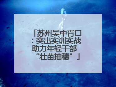 苏州吴中胥口：突出实训实战 助力年轻干部“壮苗抽穗”