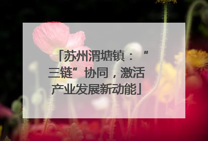 苏州渭塘镇：“三链”协同，激活产业发展新动能