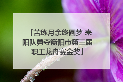 苦练月余终圆梦 耒阳队勇夺衡阳市第三届职工龙舟赛金奖