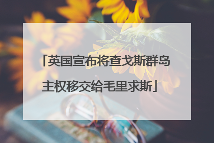 英国宣布将查戈斯群岛主权移交给毛里求斯
