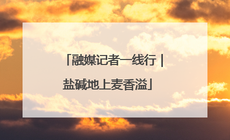 融媒记者一线行｜盐碱地上麦香溢