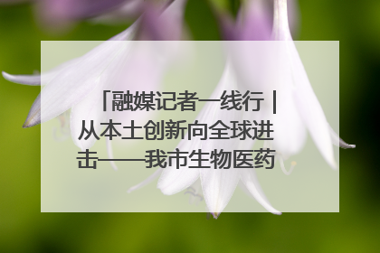 融媒记者一线行｜从本土创新向全球进击——我市生物医药产业破茧突围