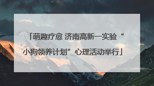 萌趣疗愈 济南高新一实验“小狗领养计划”心理活动举行