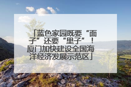 蓝色家园既要“面子”还要“里子”！厦门加快建设全国海洋经济发展示范区