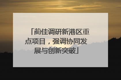 蔺佳调研新港区重点项目，强调协同发展与创新突破