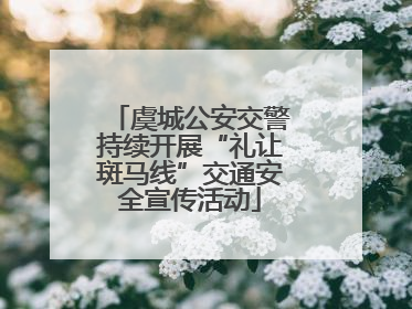 虞城公安交警持续开展“礼让斑马线”交通安全宣传活动