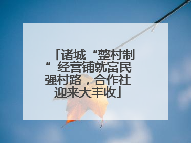 诸城“整村制”经营铺就富民强村路，合作社迎来大丰收