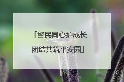 警民同心护成长 团结共筑平安园