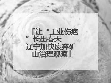 让“工业伤疤”长出春天——辽宁加快废弃矿山治理观察