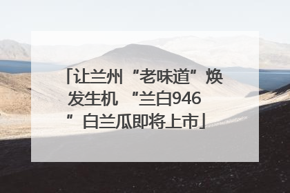 让兰州“老味道”焕发生机 “兰白946”白兰瓜即将上市