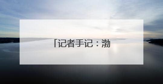 记者手记：渤海湾畔盐碱滩变身“新粮仓”