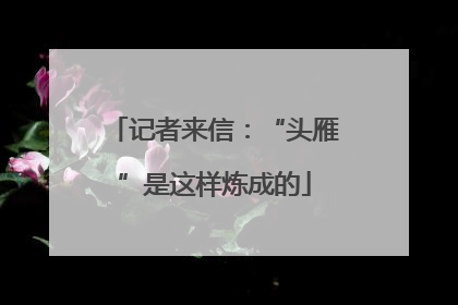 记者来信：“头雁”是这样炼成的
