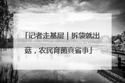 记者走基层｜拆袋就出菇，农民育菌真省事