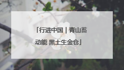 行进中国｜青山蓄动能 黑土生金仓