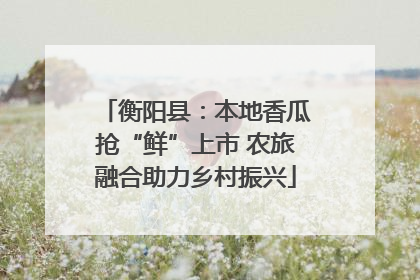 衡阳县：本地香瓜抢“鲜”上市 农旅融合助力乡村振兴