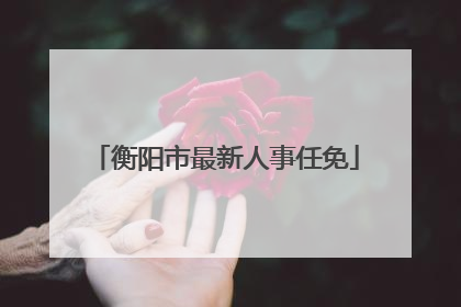 衡阳市最新人事任免