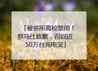 被多所高校禁用！罗马仕致歉，召回近50万台充电宝