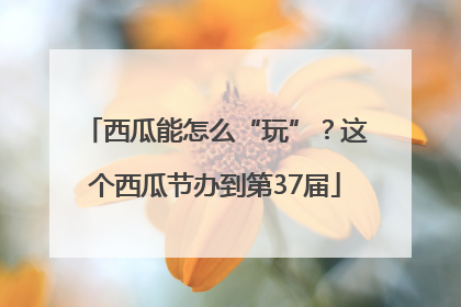 西瓜能怎么“玩”？这个西瓜节办到第37届