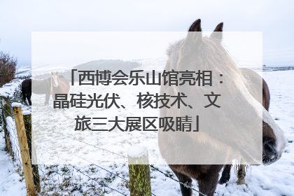 西博会乐山馆亮相：晶硅光伏、核技术、文旅三大展区吸睛