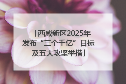 西咸新区2025年发布“三个千亿”目标及五大攻坚举措