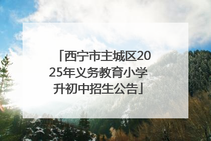西宁市主城区2025年义务教育小学升初中招生公告