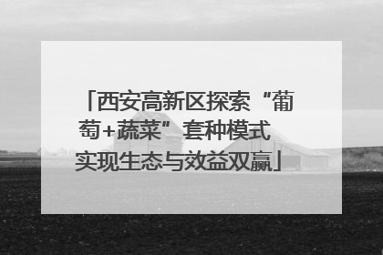 西安高新区探索“葡萄+蔬菜”套种模式 实现生态与效益双赢