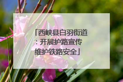 西峡县白羽街道：开展护路宣传 维护铁路安全