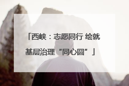 西峡：志愿同行 绘就基层治理“同心圆”
