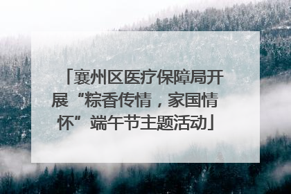 襄州区医疗保障局开展“粽香传情，家国情怀”端午节主题活动