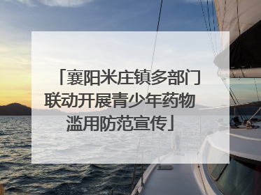 襄阳米庄镇多部门联动开展青少年药物滥用防范宣传