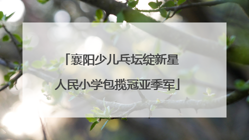 襄阳少儿乓坛绽新星 人民小学包揽冠亚季军