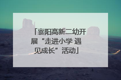 襄阳高新二幼开展“走进小学 遇见成长”活动