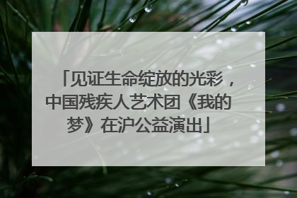 见证生命绽放的光彩，中国残疾人艺术团《我的梦》在沪公益演出