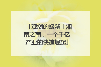 观潮的螃蟹丨湘南之南，一个千亿产业的快速崛起